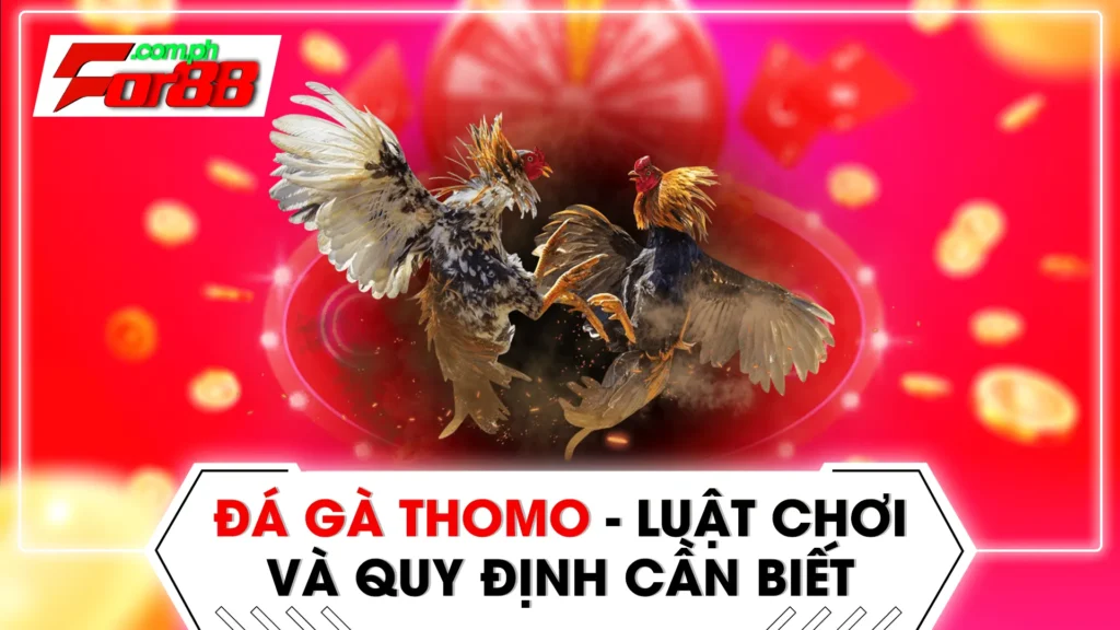 đá gà Thomo 01