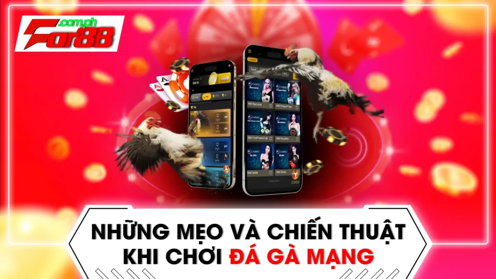 đá gà mạng 01